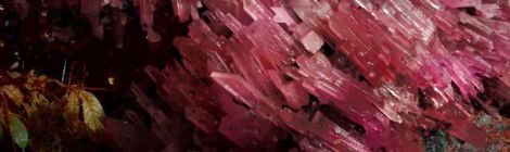 Image Credit: Channel 4